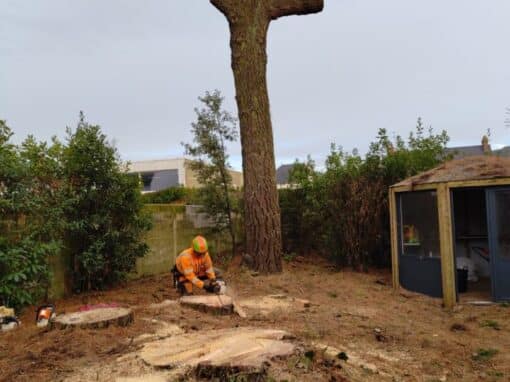 Démontage pin avec grue espace restreint Vannes (1)