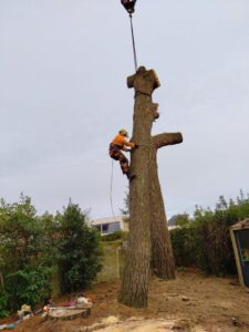 Démontage pin avec grue espace restreint Vannes (2)