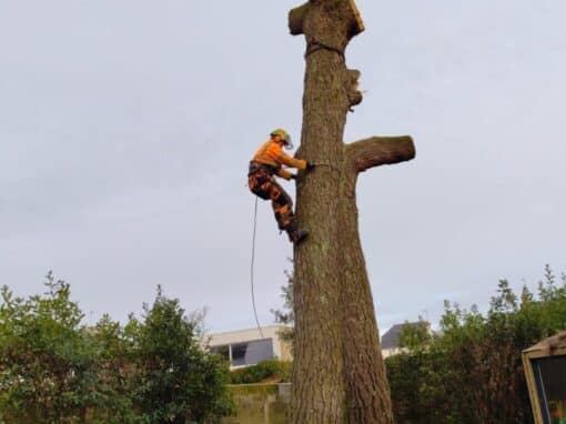 Démontage pin avec grue espace restreint Vannes (1)