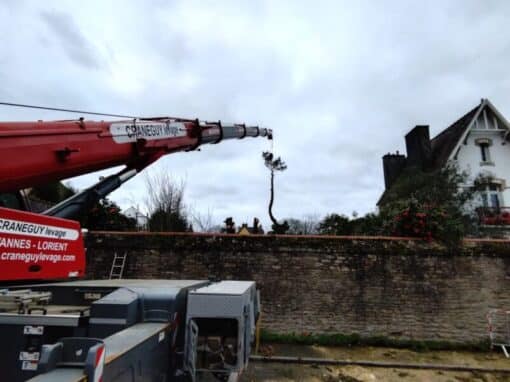 Démontage pin avec grue espace restreint Vannes (1)