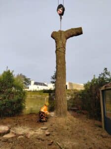 Démontage pin avec grue espace restreint Vannes (4)