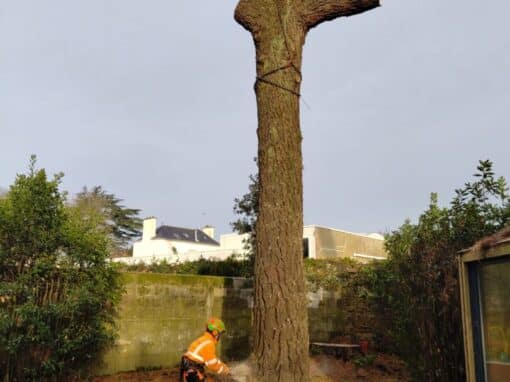 Démontage pin avec grue espace restreint Vannes (1)